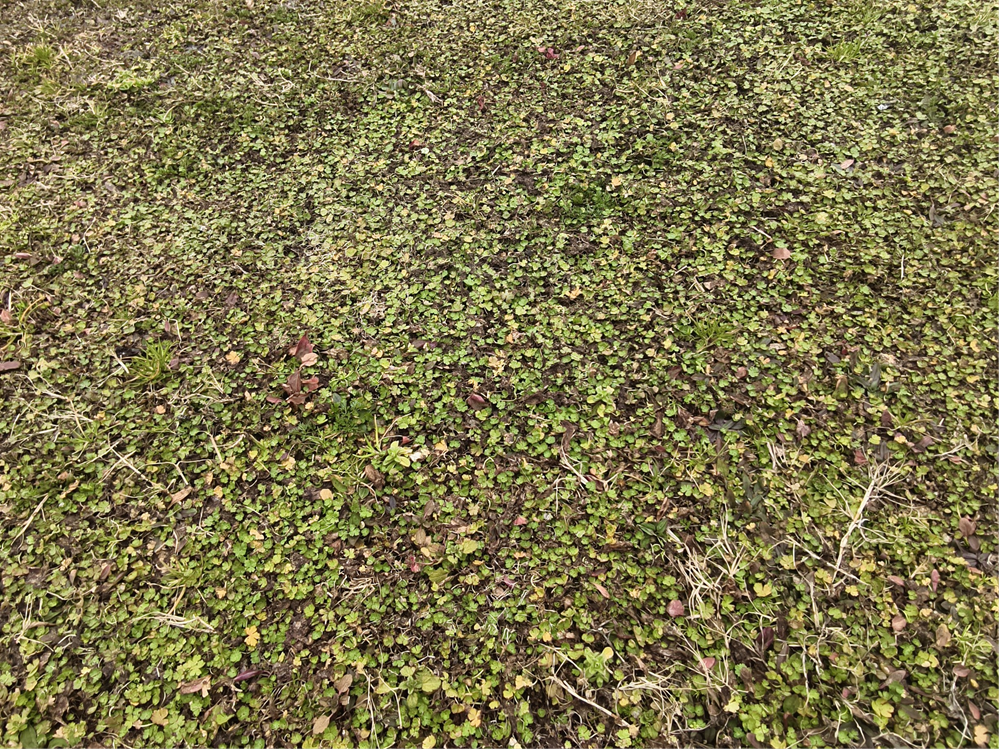 a2e5e78dbb7347669a23d3635751ae62.png
