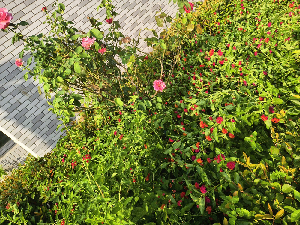 2490546e17034a7f9384982a9198ac41.png 2490546e17034a7f9384982a9198ac41.png